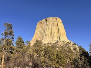 Massive columnar rock formation rising dramatically from forested valley floor at Devil's Tower National Monument in Wyoming.